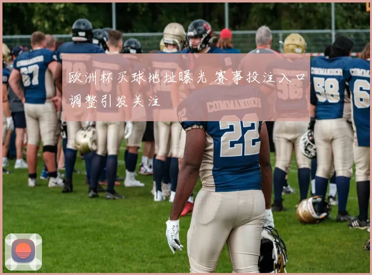 欧洲杯买球地址曝光 赛事投注入口调整引发关注
