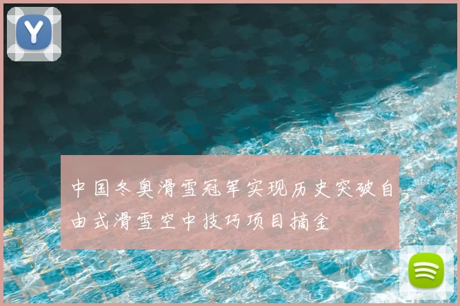 中国冬奥滑雪冠军实现历史突破自由式滑雪空中技巧项目摘金