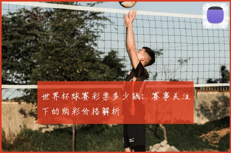 世界杯球赛彩票多少钱:赛事关注下的购彩价格解析