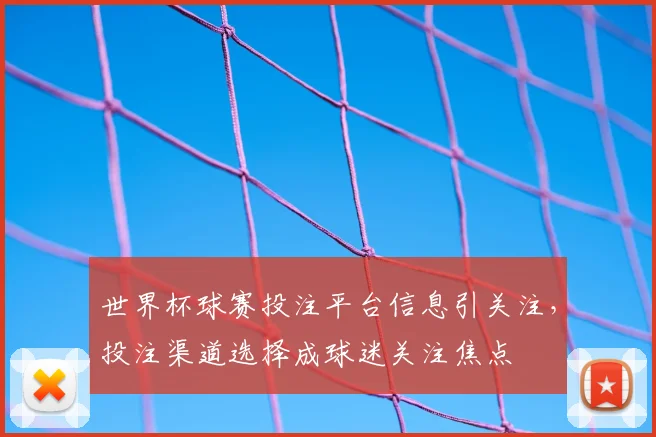 世界杯球赛投注平台信息引关注,投注渠道选择成球迷关注焦点