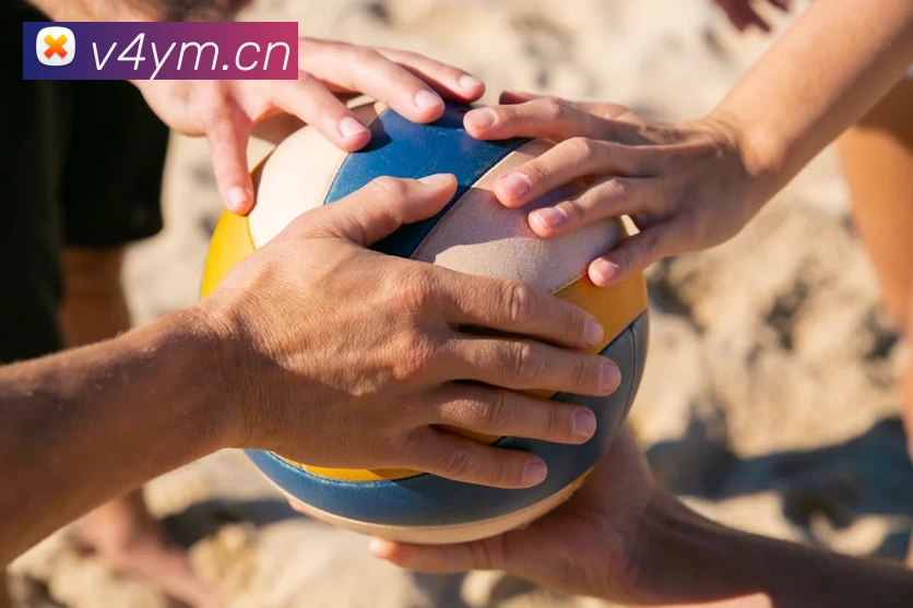 App Interface Preview